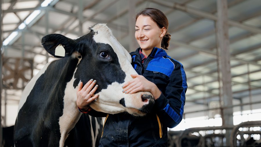 Landwirtin mit Kuh im Stall. AdobeStock