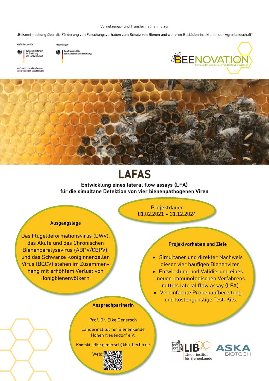 Steckbrief des Projekts: Entwicklung eines lateral flow assays (LFA) für die simultane Detektion von vier bienenpathogenen Viren (LAFAS)