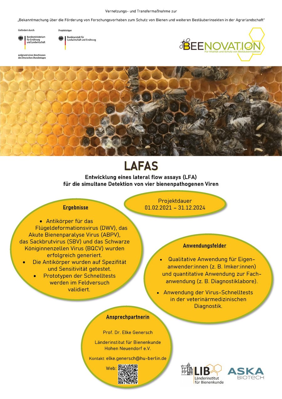 Steckbrief des Projekts: Entwicklung eines lateral flow assays (LFA) für die simultane Detektion von vier bienenpathogenen Viren (LAFAS)